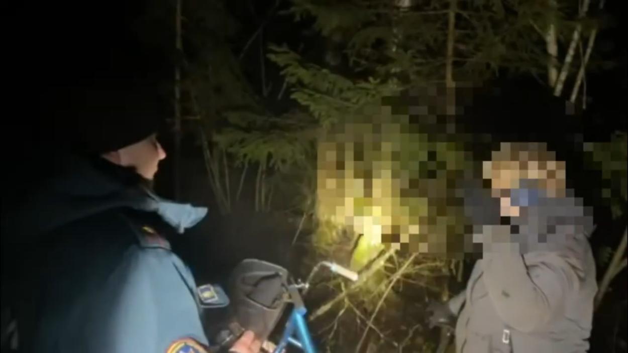 пенсионерка потерялась в лесу мчс